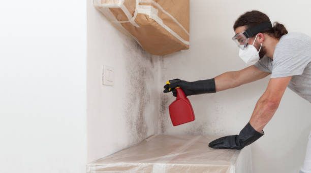 Professional Crawl Space Mold Remediation technician working in Gloucester City, NJ